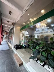 The Platinum (D1), Shop House #466474001